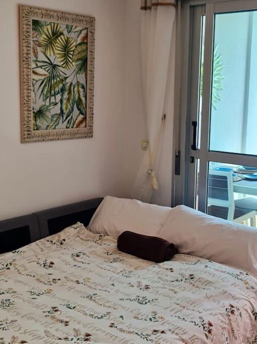 Homely Apt In Modern Building With Pool 산미겔데아보나 외부 사진